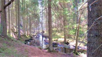 Kurssikuva